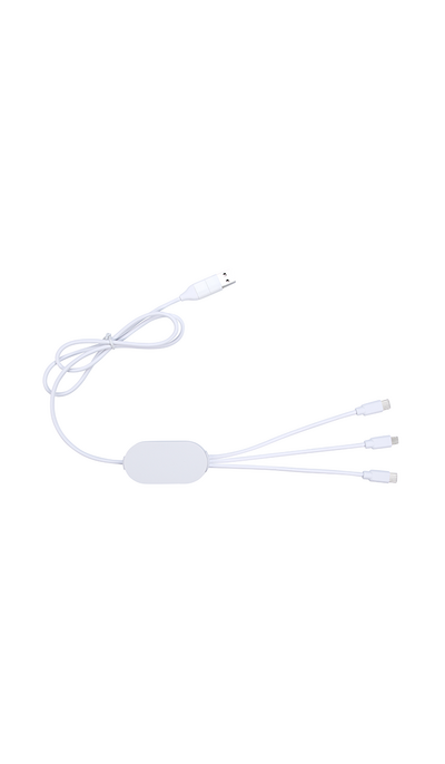 Dual Link Full Color Print Charging Cable with USB