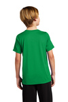 Nike Embroidered Youth Team rLegend Tee Thumb