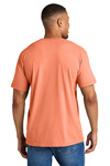 Comfort Colors Embroidered Heavyweight Ring Spun Tee Thumb