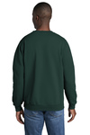 Port & Company  Printed Core Fleece Crewneck Sweatshirt Thumb