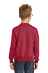 Port & Company Printed Youth Core Fleece Crewneck Sweatshirt Thumb
